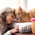 6 Tanda Kucing Menyukaimu 6 Tanda Kucing Menyukaimu