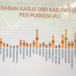 Foto : Penyebaran kasus dan meninggal data DBD per bulan di Kabupaten Pati (Sumber : Putri Asia / Mitrapost)