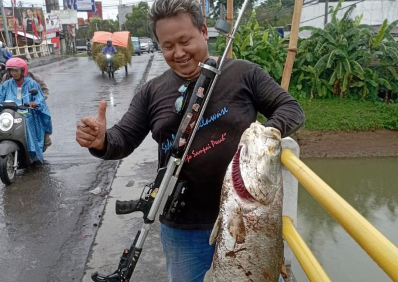 Viral! Pemancing Tangkap Ikan Kakap Raksasa di Sungai Tayu Pati