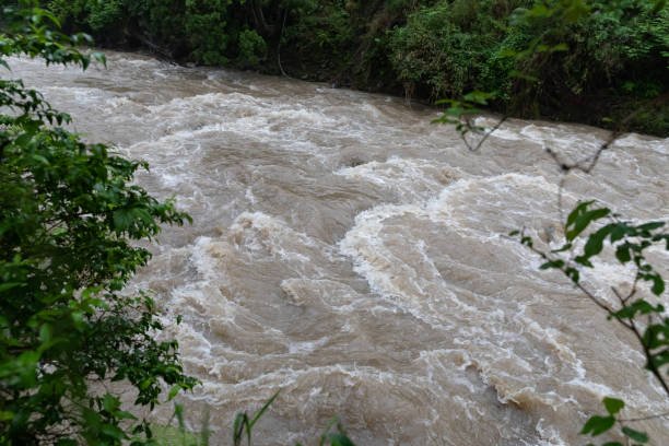 Foto: Ilustrasi arus sungai (Sumber: istock)