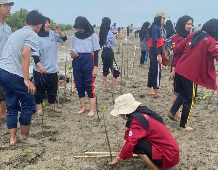 Foto : Penanaman 1.200 bibit mangrove di Pantai Pangkalan Desa Pangkalan Kecamatan Margoyoso Kabupaten Pati (Sumber : mitrapost.com/ Dok. IMP Unnes)