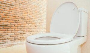 toilet duduk