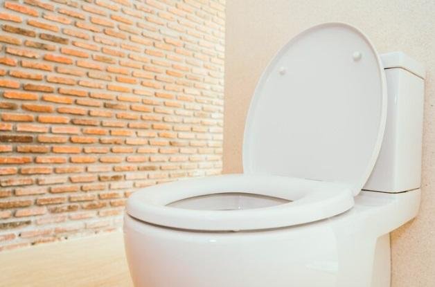 toilet duduk