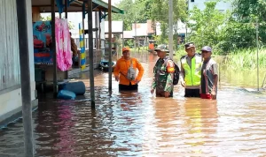 Foto : Tim gabungan turun ke lokasi banjir guna melakukan asesmen dampak banjir yang melanda Kabupaten Pulang Pisau, Kalimantan Tengah pada Kamis (14/3). (BPBD Kab. Pulang Pisau)