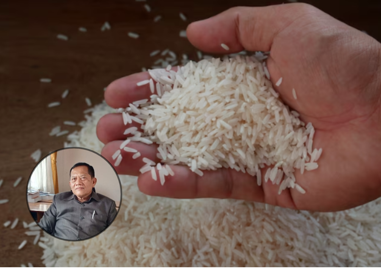 harga beras