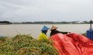 banjir