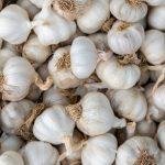 Foto: Ilustrasi komoditas bawang putih (Sumber: istock)