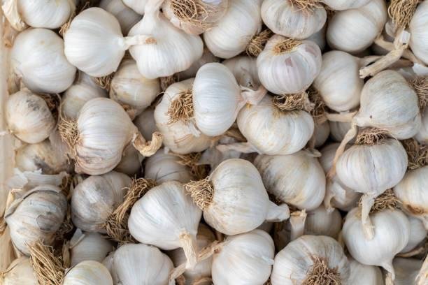 Foto: Ilustrasi komoditas bawang putih (Sumber: istock)