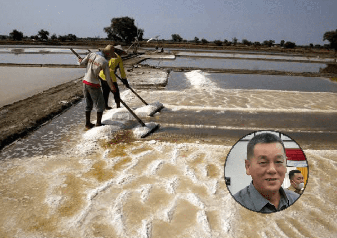 washing plant