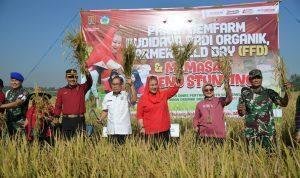 Foto: Wali Kota Semarang saat melakukan panen (Sumber: jatengprov) Foto: Wali Kota Semarang saat melakukan panen (Sumber: jatengprov)