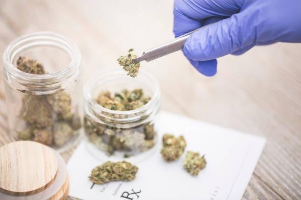 Ilustrasi ganja (Sumber: iStock)