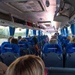 Foto: Ilustrasi bus pariwisata (Sumber: istock)
