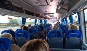 Foto: Ilustrasi bus pariwisata (Sumber: istock) Foto: Ilustrasi bus pariwisata (Sumber: istock)