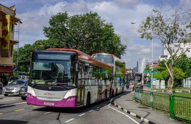 Foto: Ilustrasi bus pariwisata (Sumber: istock)