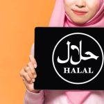 Foto: Ilustrasi sertifikasi halal (Sumber: istock)