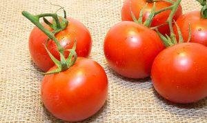 Tomat
