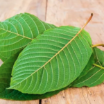 kratom