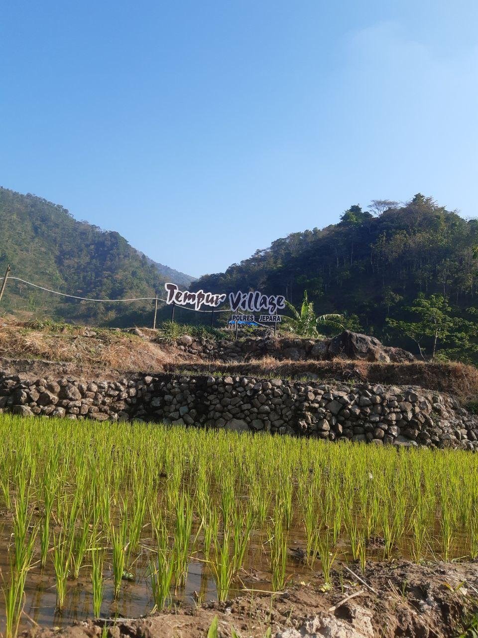 Desa wisata tempur