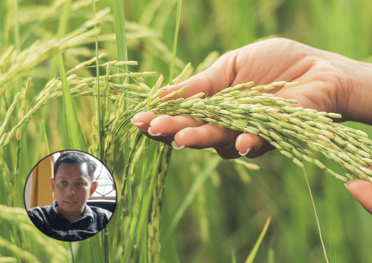 petani