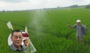 petani