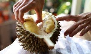 Foto: Ilustrasi buah durian (Sumber: iStock)