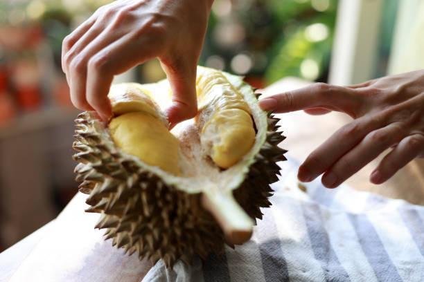 Foto: Ilustrasi buah durian (Sumber: iStock)