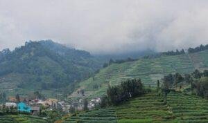 Foto: dataran tinggi Dieng (Sumber: istock)