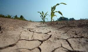 Foto: Ilustrasi kekeringan (Sumber: istock)