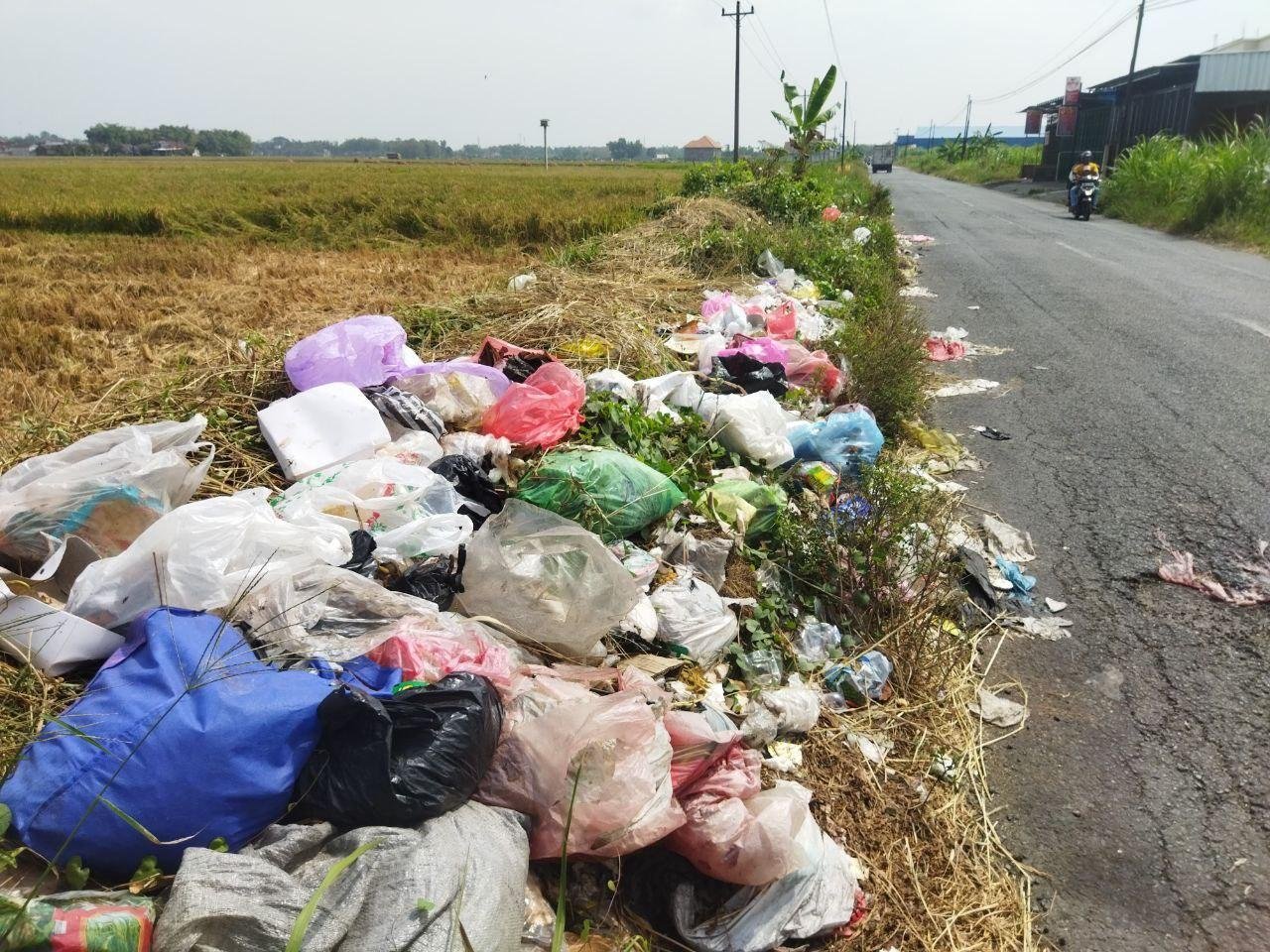 Foto : Tumpukan Sampah di Jalan Raya Jakenan-Winong, Dekat Sawah Desa Serutsadang Kecamatan Winong. Senin (03/06). (Sumber. Mitrapost.com/Ilham)