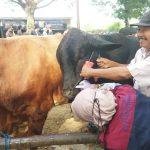 Foto : Petugas Puskeswan Melakukan Monitoring di Pasar Wage Kecamatan Margorejo. (Sumber. Mitrapost.com/Ilham)