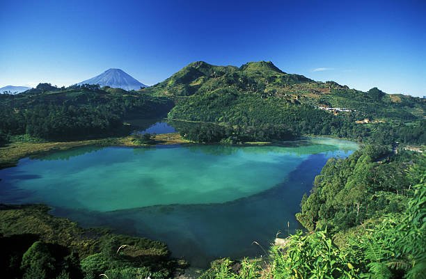 Foto: Kawasan dataran tinggi Dieng (Sumber: istock)