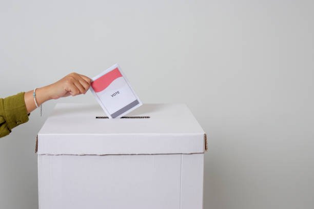 Foto: Ilustrasi Pilkada (Sumber: istock)