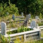 Country Muslim cemetery with green plants in Turkey