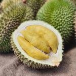 mengapa-durian-bau durian