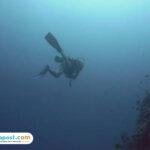 Wisatawan Korsel Tewas