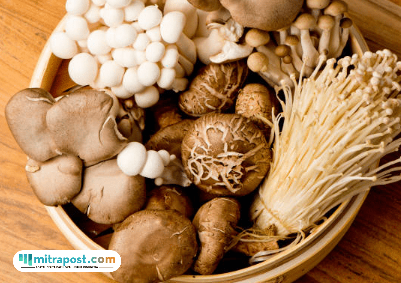 Jamur Ternyata Dapat Menambah Kekebalan Tubuh