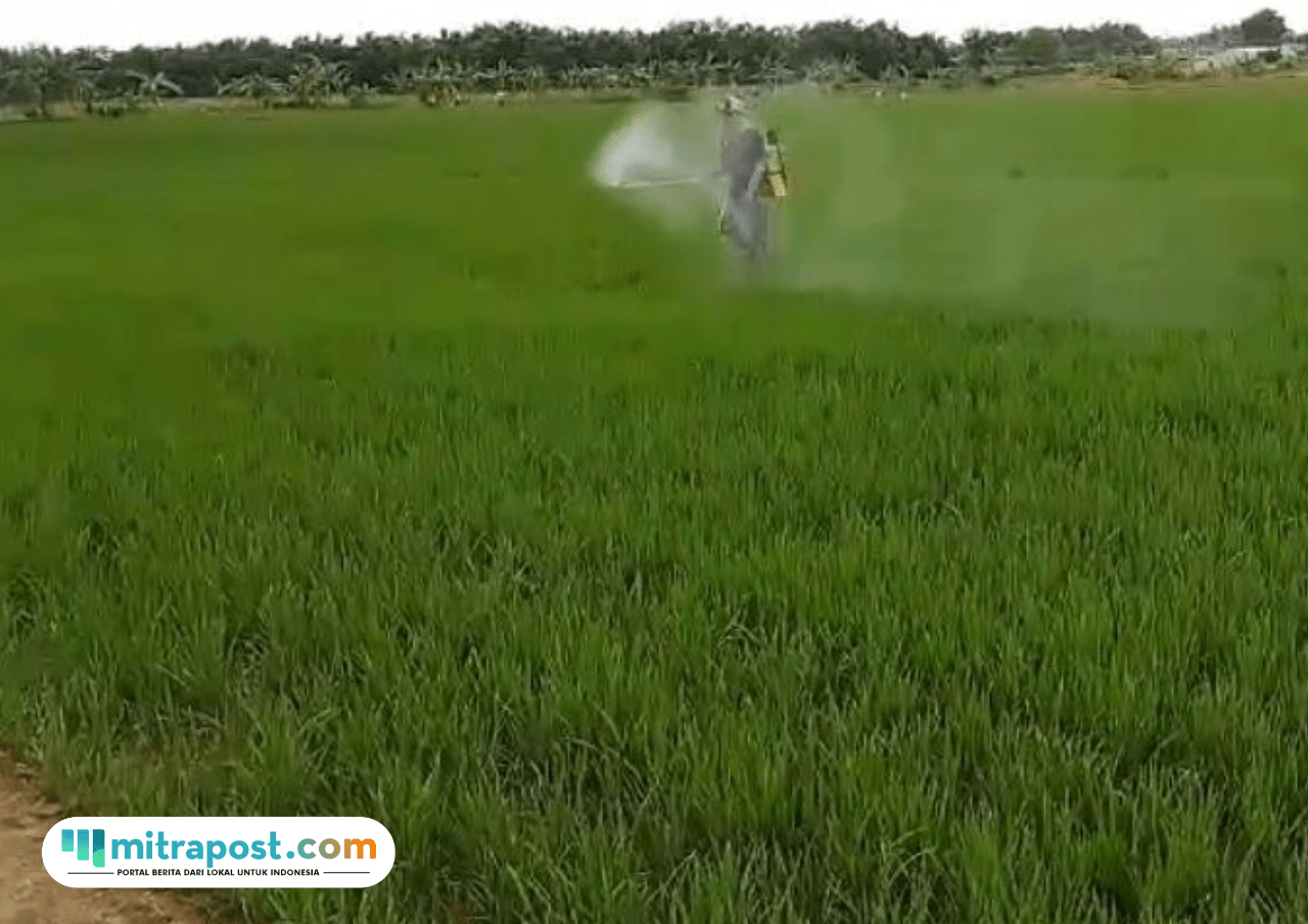 Petani Biosaka