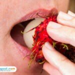 rambutan