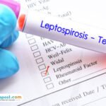 Template mitrapost neww Kasus Leptospirosis