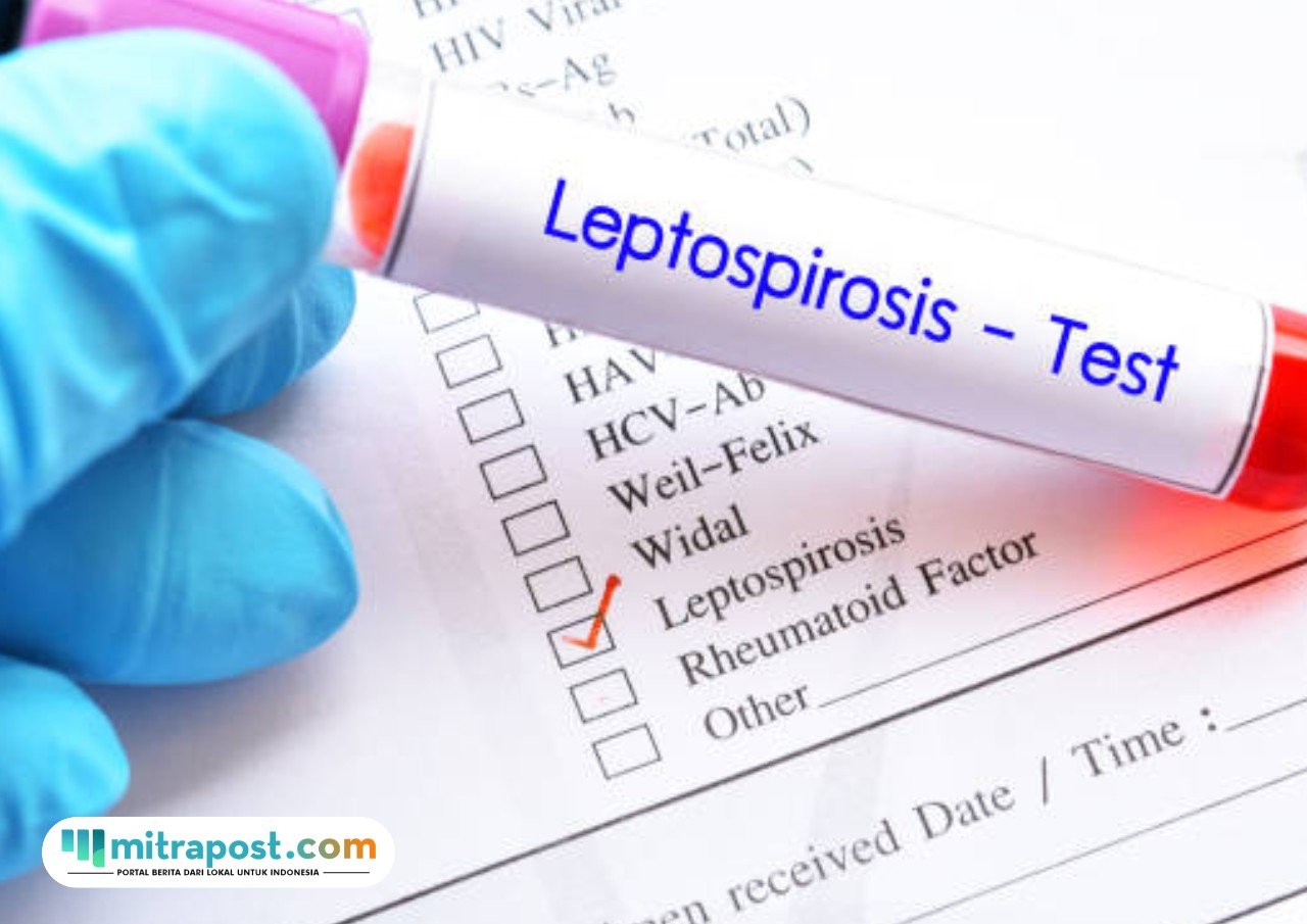 Kasus Leptospirosis