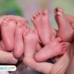 Perdagangan Bayi