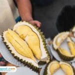 durian