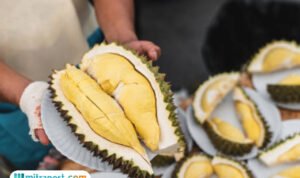 makan-durian durian