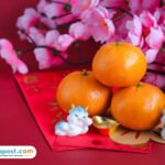 jeruk mandarin