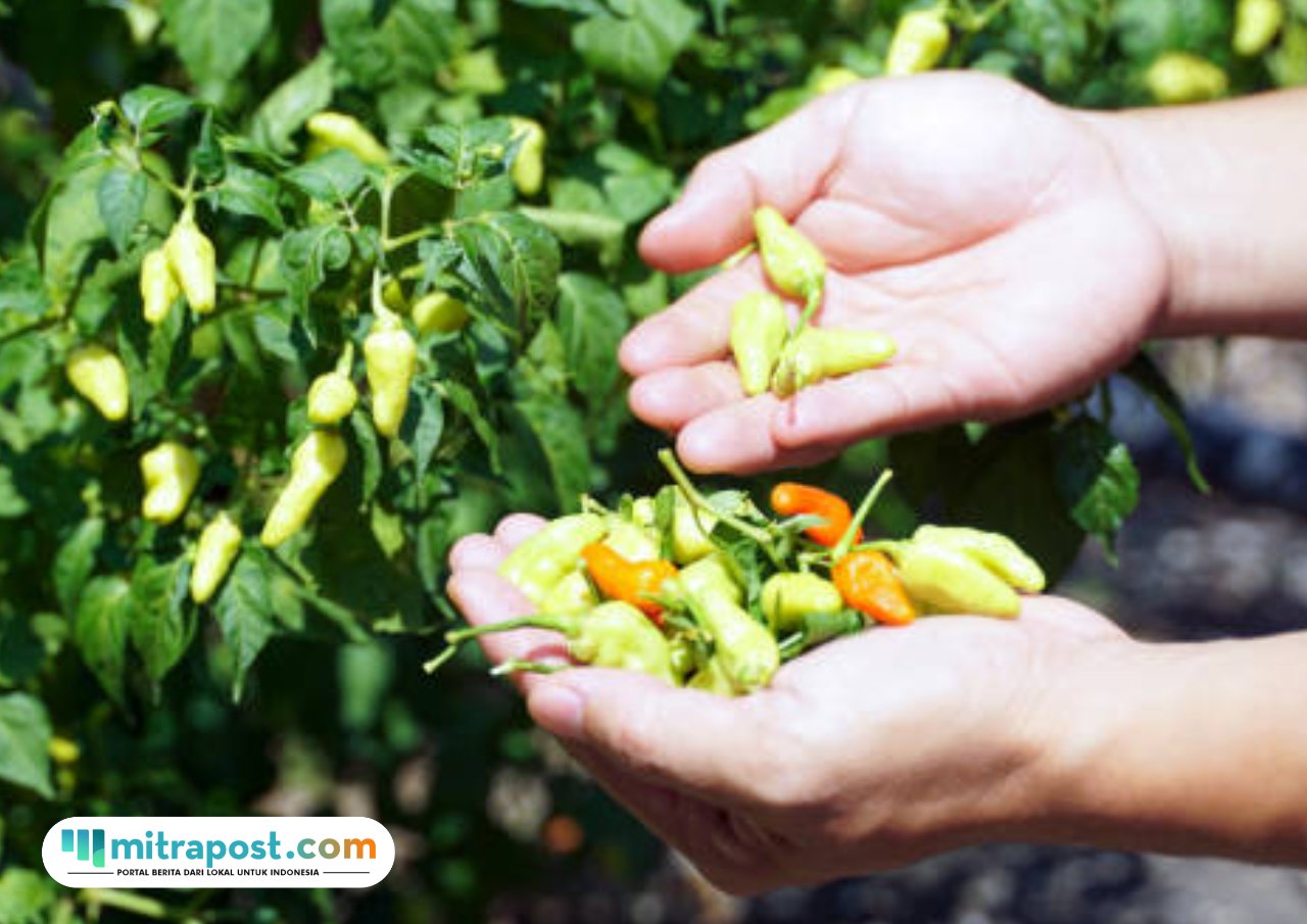 tangan terasa terbakar