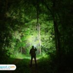 Ilustrasi pendaki/istock