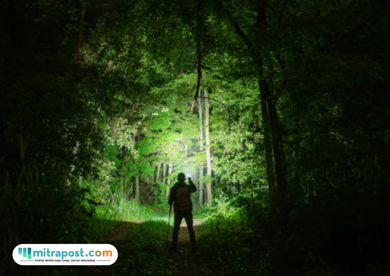 Ilustrasi pendaki/istock