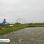 Foto : Pembudidaya ikan lele Desa Mustokoharjo Kecamatan Pati tengah memberikan pakan di sore hari. (Sumber. Mitrapost.com/Ilham)