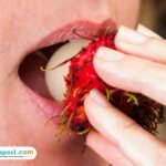 rambutan