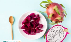 buah naga
